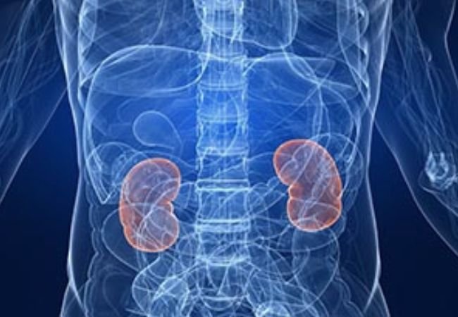 Things that damage your liver