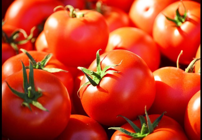 Red Tomato vs Green Tomato