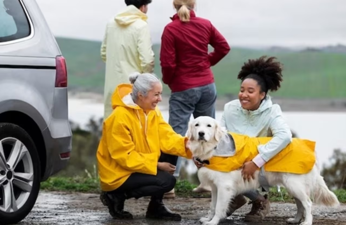 Travel with pet in monsoon