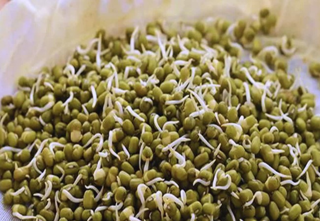 Mung Bean Benefits