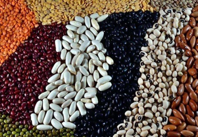 Veg Protein Food