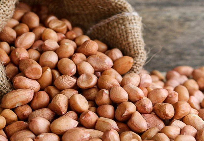 Veg Protein Food