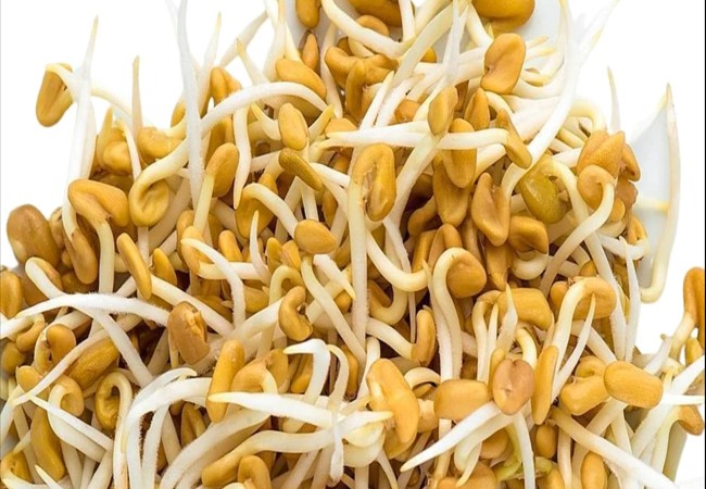 Sprouted Fenugreek