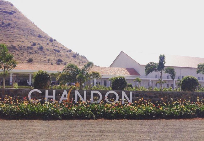 Best Vineyards In Nashik