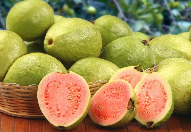 Guava Benefits