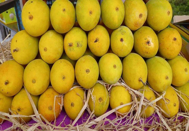 Mango