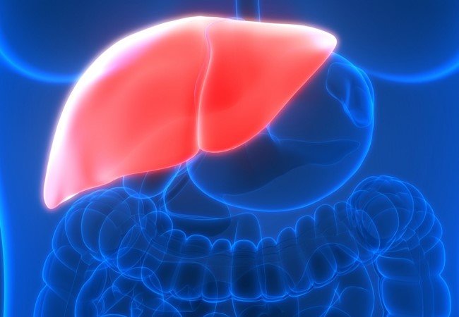 Liver Cancer