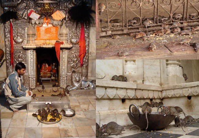 Temple