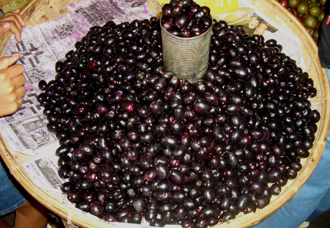 Jamun Benefits