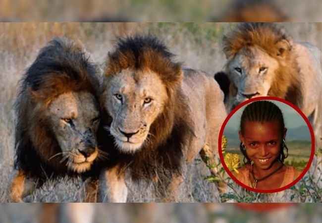 Lions as Guardians