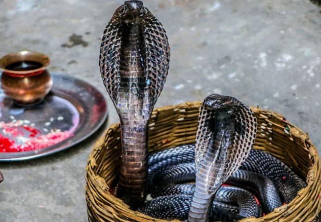 Nagpanchami