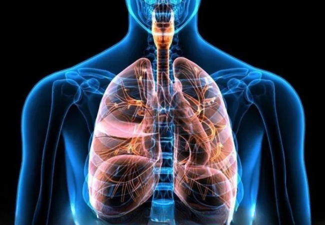 Chronic Lung Disease