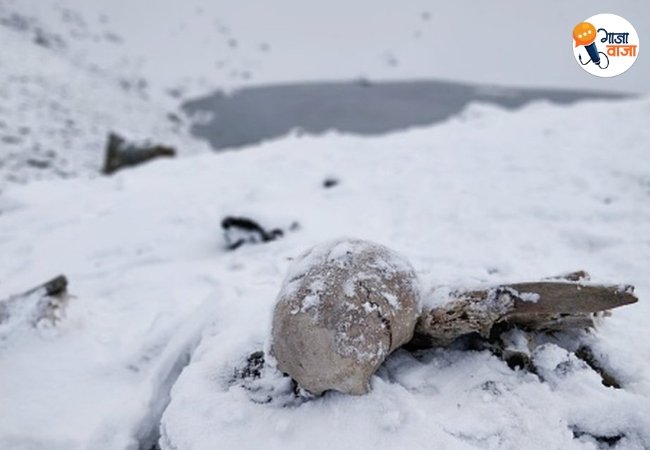 Himalayan Secrets Himalayan Secrets