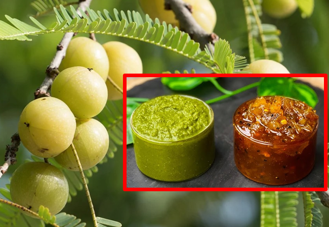 Amla Recipe Amla Recipe