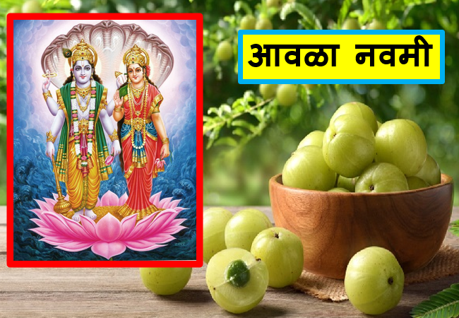 Amla Navami Amla Navami