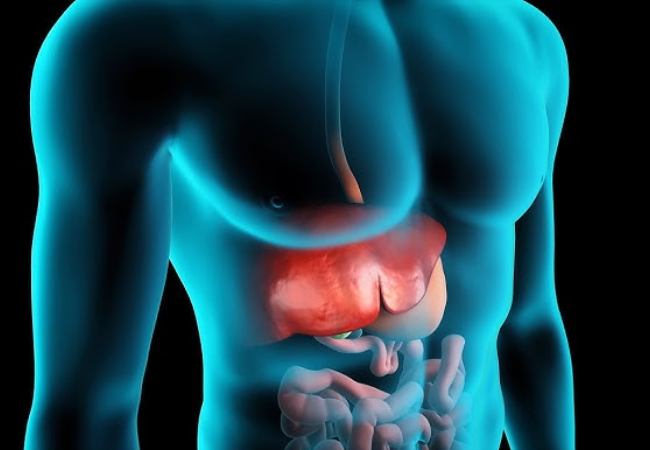 Liver Detox Liver Detox