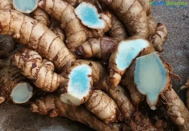 Blue Turmeric Benefits